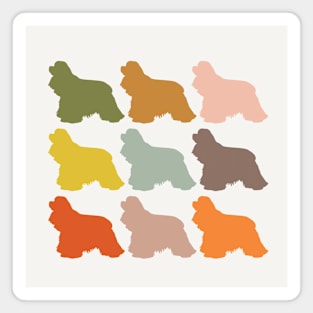 Cocker Spaniel Dogs in Rainbow Colors Magnet